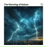 Rain, Hurricane & Thunder Storms Sounds