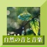すべて自然