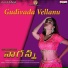 Geetha Madhuri, Sri Vasanth