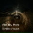 TonBassProject