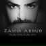 Zamir Abbud