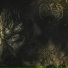Krater