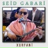 Seid Gabari