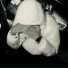 Matteozz