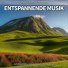 Hintergrundmusik, Entspannungsmusik, Schlafmusik