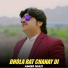 Ameer Niazi