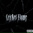 CR4CK, ПЯТНА НА КУРТКЕ, podzemnii zvyk, Z!n R