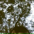 Adamidi
