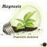 Magnosis