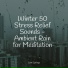 Massage Tribe, Meditation, Nature Sounds Radio