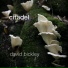 David Bickley