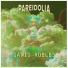 David Robles