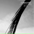 Carolynn