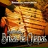 Marimba Brisas De Chiapas