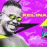Dj Freitas Oficial
