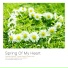 Flower Garden