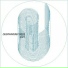 A-Bee, Tom Vagabondo