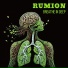 Rumion