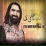 Ameer Hasan Aamir