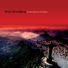 Brian Bromberg