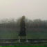 les, forlorn