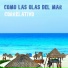 L.0., ITM, CORRELATIVO