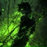 Night Killer