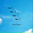 Arad Gepner