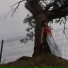Letuno