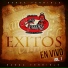 Banda Terrible