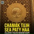 Allama Talha Badar Saifi