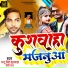 Mantu Singh Kushwaha, Priti Raj