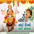 Vanita Barot, Rajdeep Barot