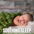 The Sleepy Sounds