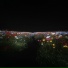 eyfect, Codec