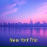 New York Trio feat. Seoul Spin Club