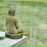 Siddartha Magenta