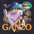 Ganzo, No Label