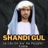 Shandi Gul