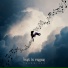 ThudWiser