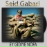 Seid Gabari