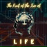 Raymond Mowla feat. J. Rhythmatic, T.M.R, Big E