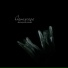 Aquascape