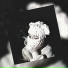 XIBLCK