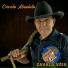 Cavalo veio
