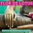 Escola de Meditação