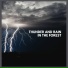 Thunderstorm Global Project from TraxLab