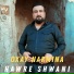 Hawre Shwani
