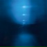 die together in venus