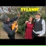 Sylamic